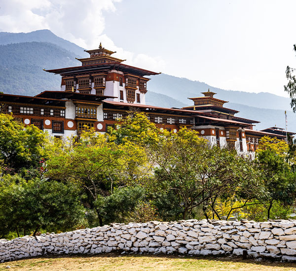 Homestays & Local Experiences