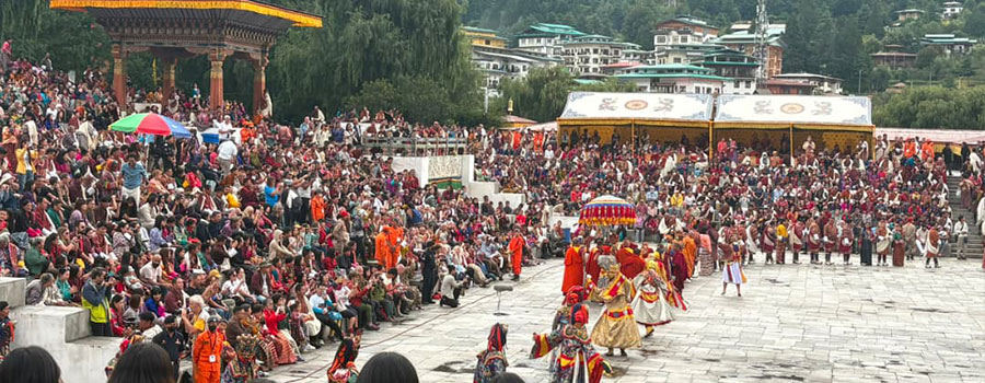 Attend Festivals