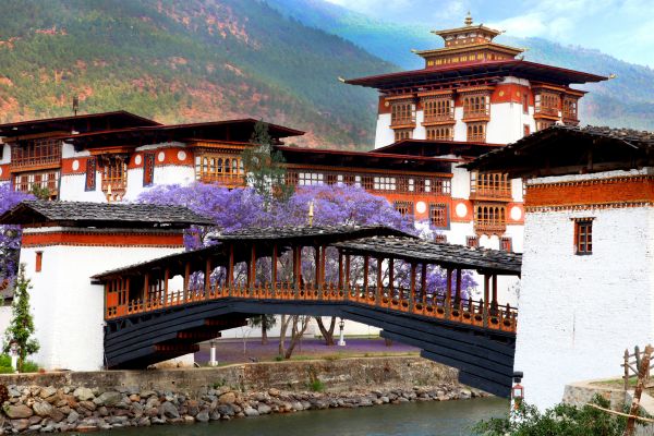Explore the Punakha Dzong
