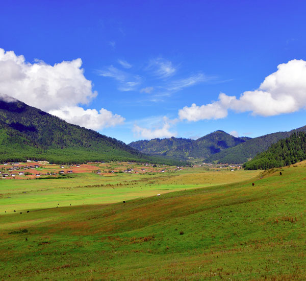 Phobjikha Valley