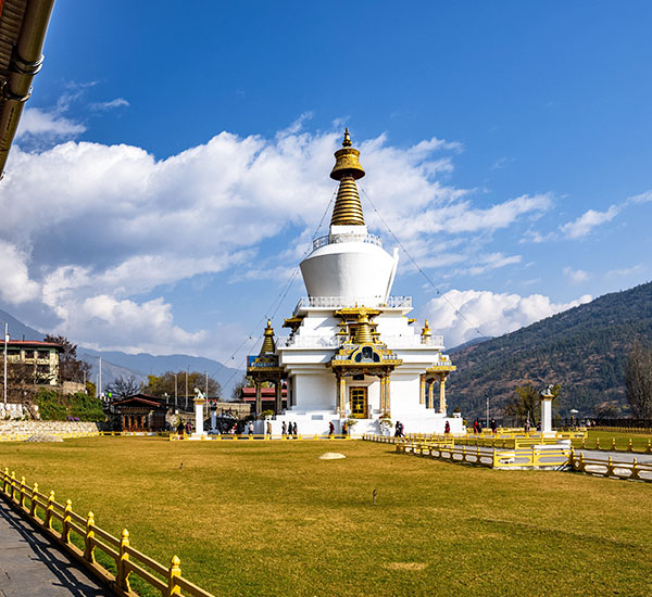 Spiritual & Wellness